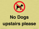 no-dogs-upstairs-please-~